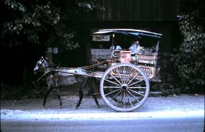 Horse Cart